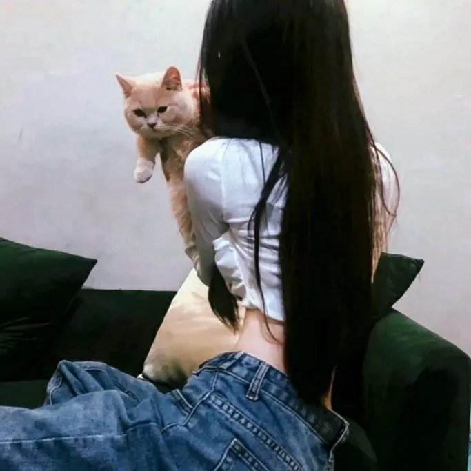 凤阳小子朱元璋